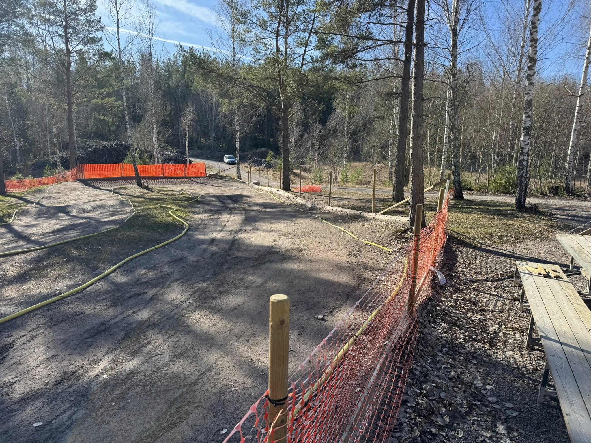 Banan tidigt på våren